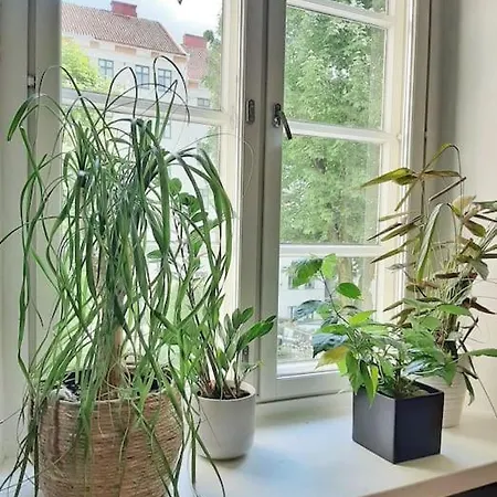 Huoneisto Boheemi, Avara & Viihtyisae Lomakoti Keskusta, 5h+k